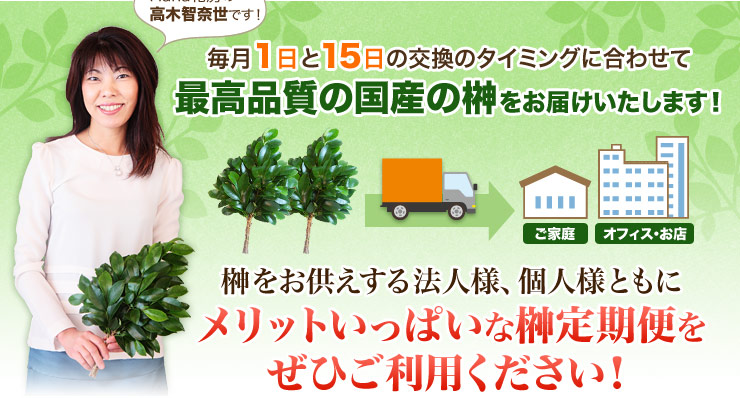 毎月1日と15日の交換のタイミングに合わせて、最高品質の国産の榊をお届けいたします！
榊をお供えする法人様、個人様ともにメリットいっぱいな榊定期便をぜひご利用ください！