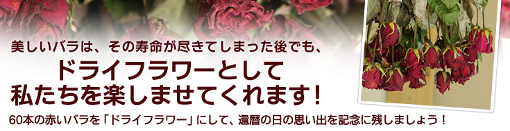 60本の赤いバラを「ドライフラワー」にして、「還暦」の日の思い出を記念に残しましょう！