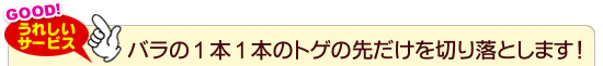 バラの1本1本のトゲの先だけを切り落とします！