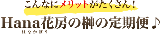 こんなにメリットがたくさん！Hana花房（はなかぼう）の榊（さかき）の定期便♪