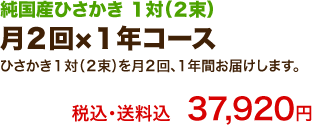 月２回×１年コース