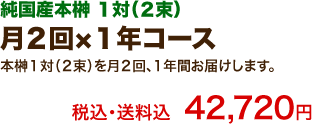 月２回×１年コース