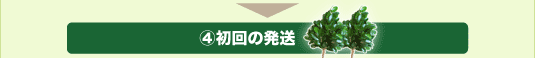 ④初回の発送