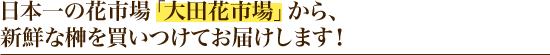 日本一の花市場「大田花市場」から、新鮮な榊(さかき）を買いつけてお届けします！