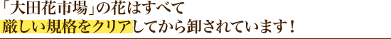 「大田花市場」の花はすべて厳しい規格をクリアしてから卸されています！