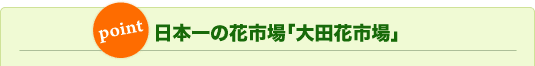 日本一の花市場「大田花市場」