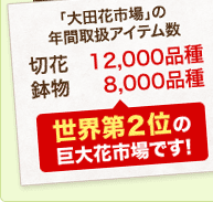 世界第２位の巨大花市場です！