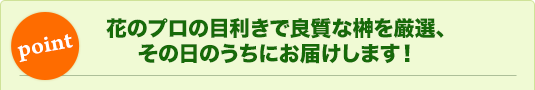 花のプロの目利きで良質な榊を厳選、その日のうちにお届けします！