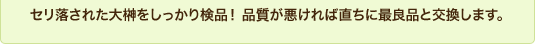 セリ落された大榊をしっかり検品！ 品質が悪ければ直ちに最良品と交換します。