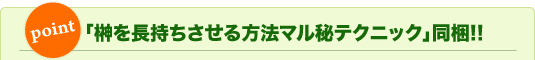 「榊を長持ちさせる方法マル秘テクニック」同梱！