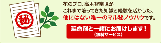 花のプロ、高木智奈世がこれまで培ってきた知識と経験を活かした、他にはない唯一のマル秘ノウハウです。（無料サービス）