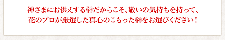 神さまにお供えする榊だからこそ、敬いの気持ちを持って、花のプロが厳選した真心のこもった榊をお選びください！